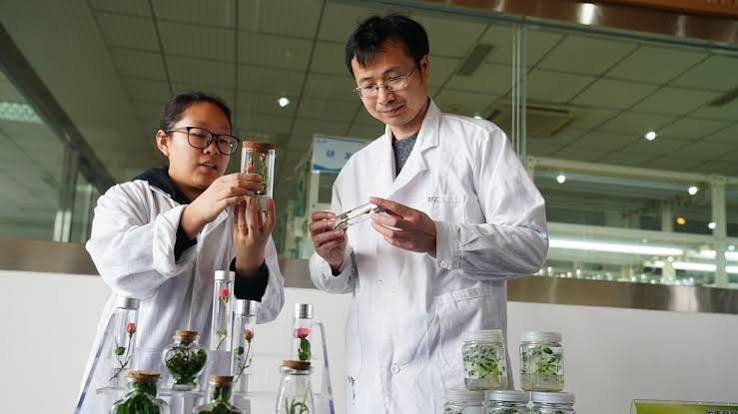 Talented Young Scientist Program